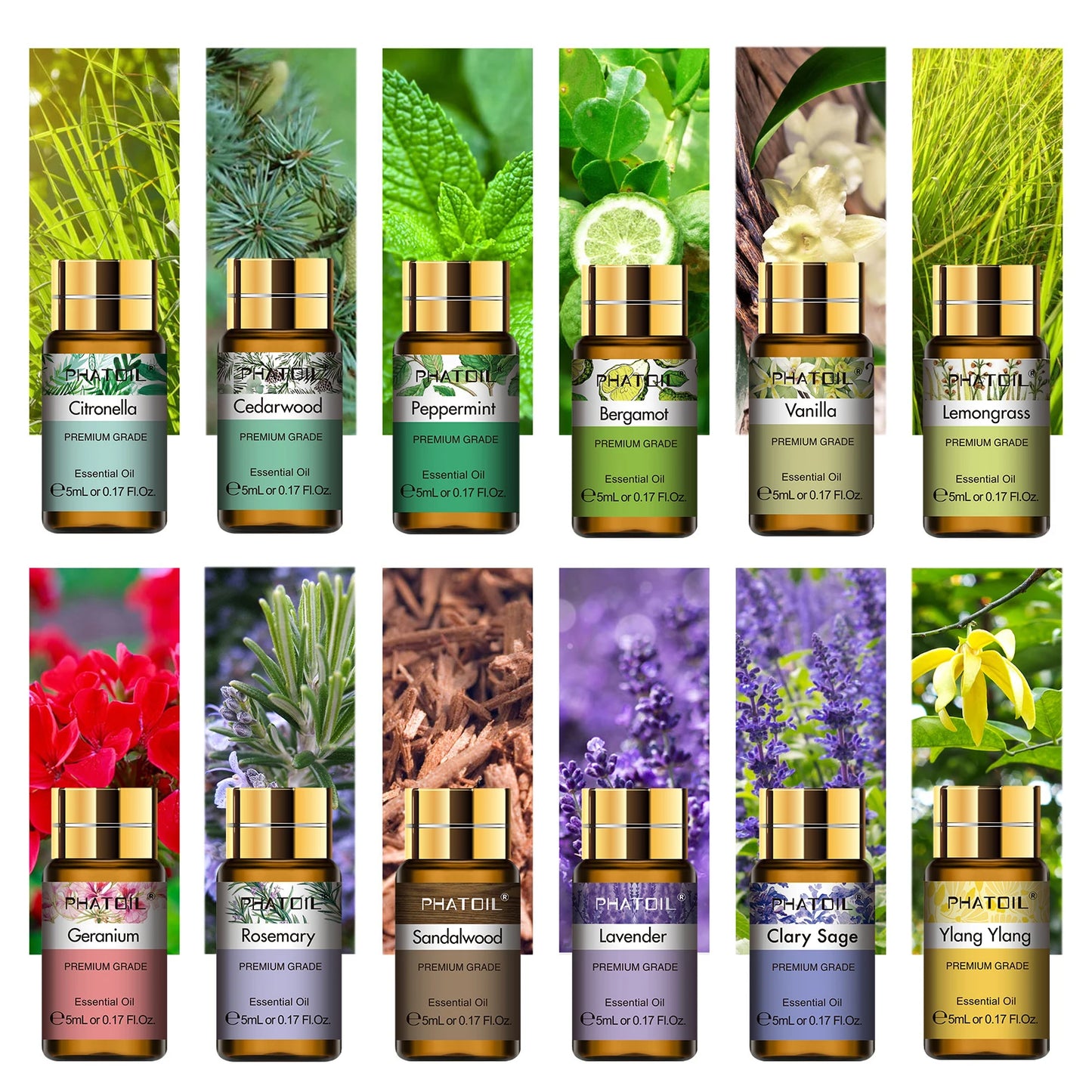 ✨ Kit Premium de Aromaterapia – 15 Aceites Esenciales Naturales (5 ml c/u)